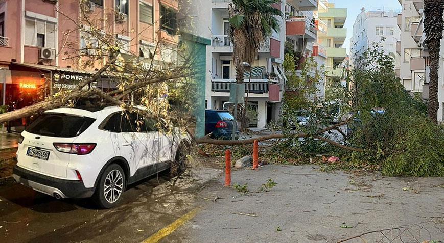 Kent turuncu alarm verilmişti! Fırtına ağaçları devirdi, seraları yıktı